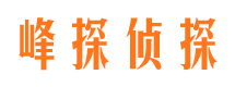 河西市婚外情调查